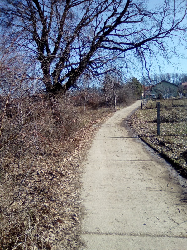 Smederevo, parcela kod Jasenka 700 E./ar.