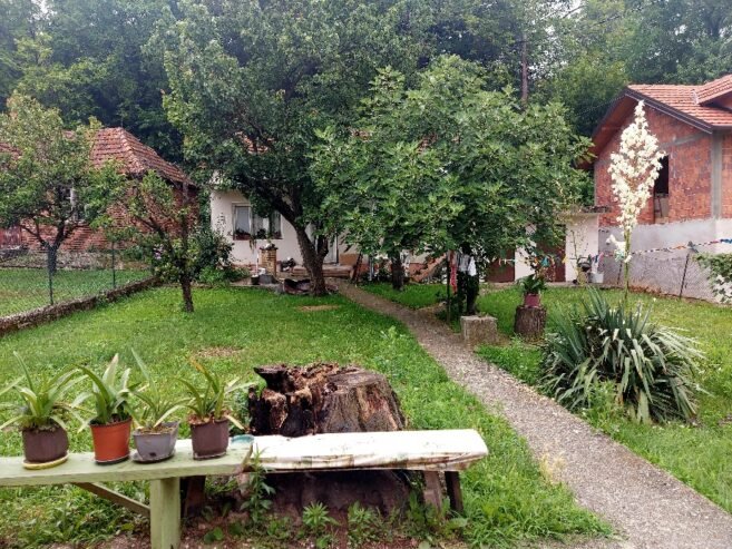 Dve kuće u dvorištu – Senjak, vlasnik
