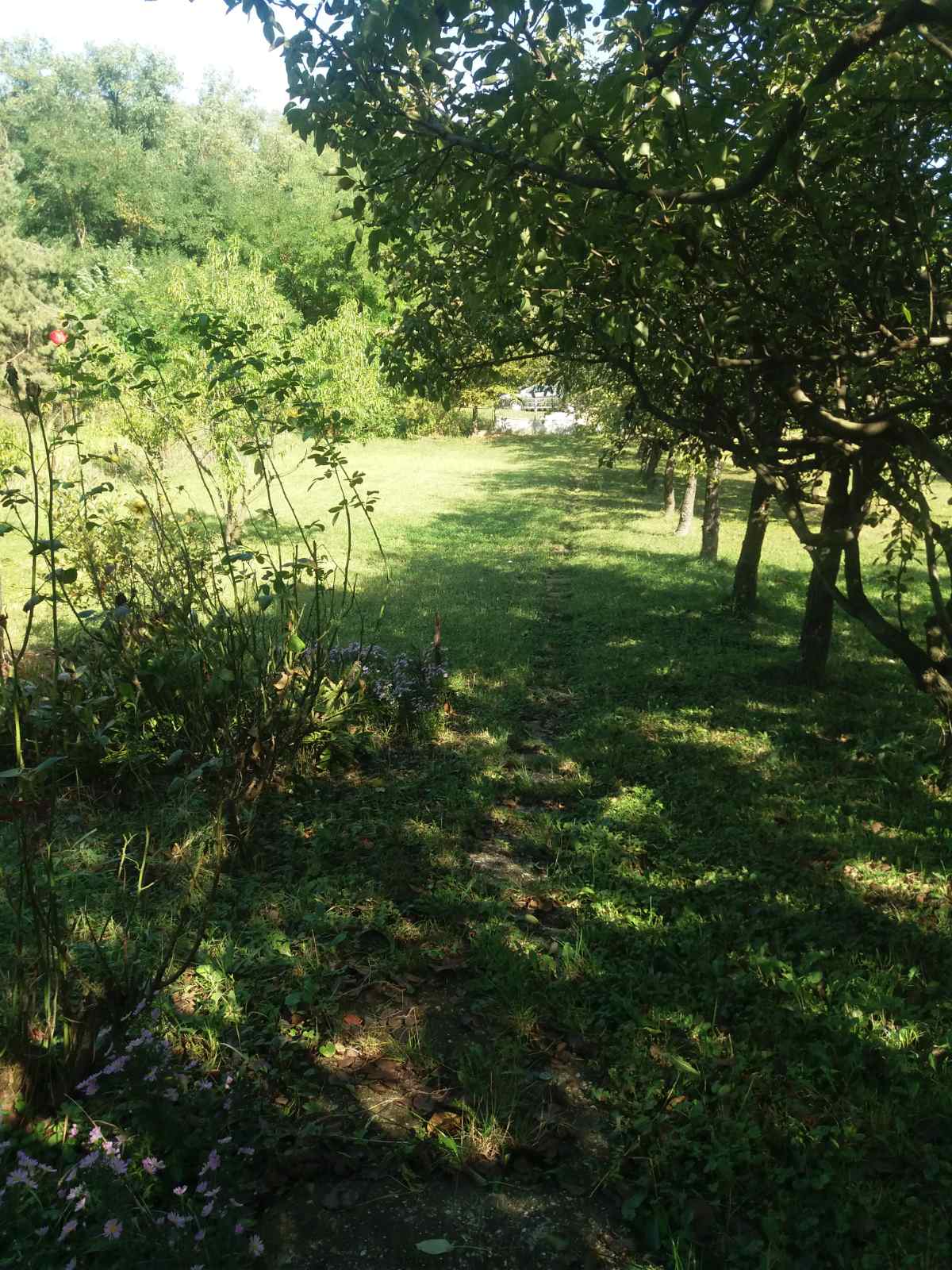 Prodajem plac sa kućom