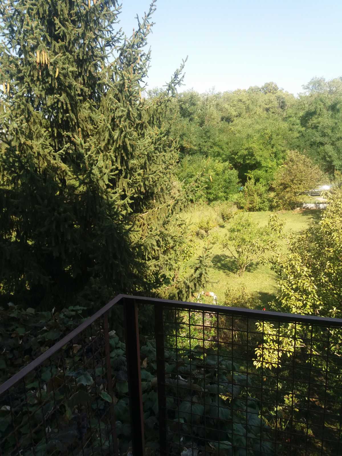 Prodajem plac sa kućom