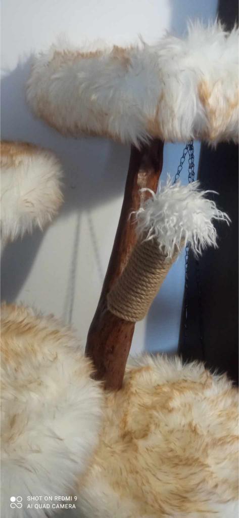 Grebalice – penjalice