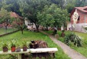 Dve kuće u dvorištu – Senjak, vlasnik