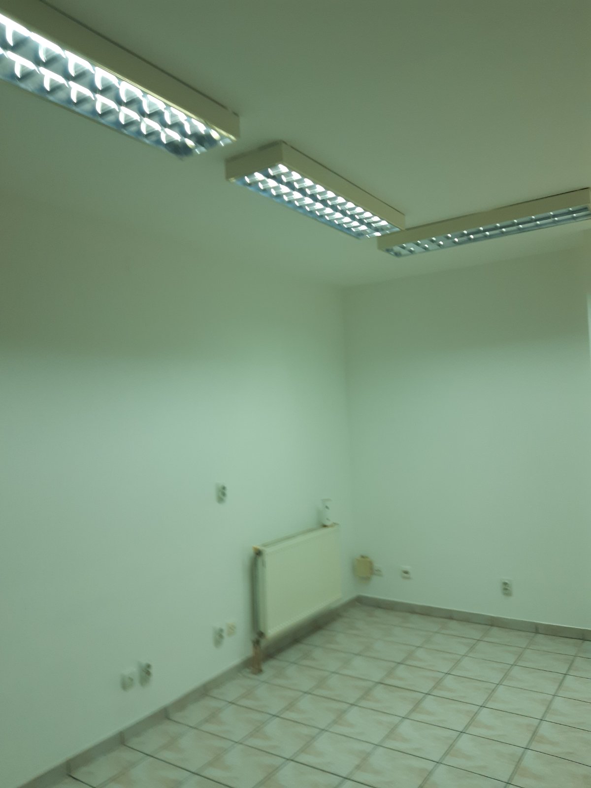 Prodajem lokal u Danubiusu