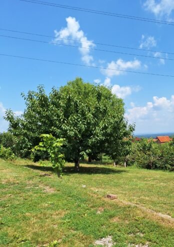 Kuća na prodaju