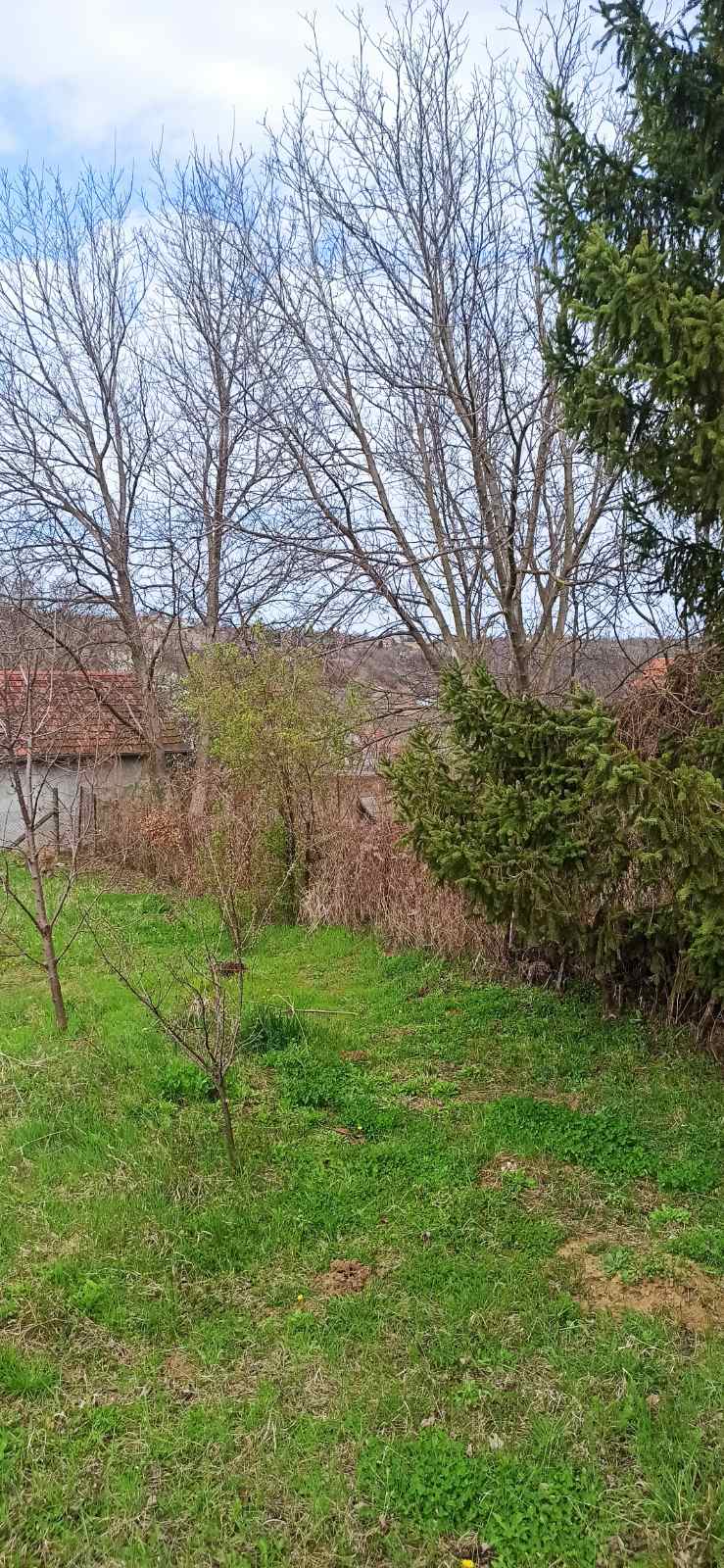 13 ari placa,kuća,pomoćni objekti