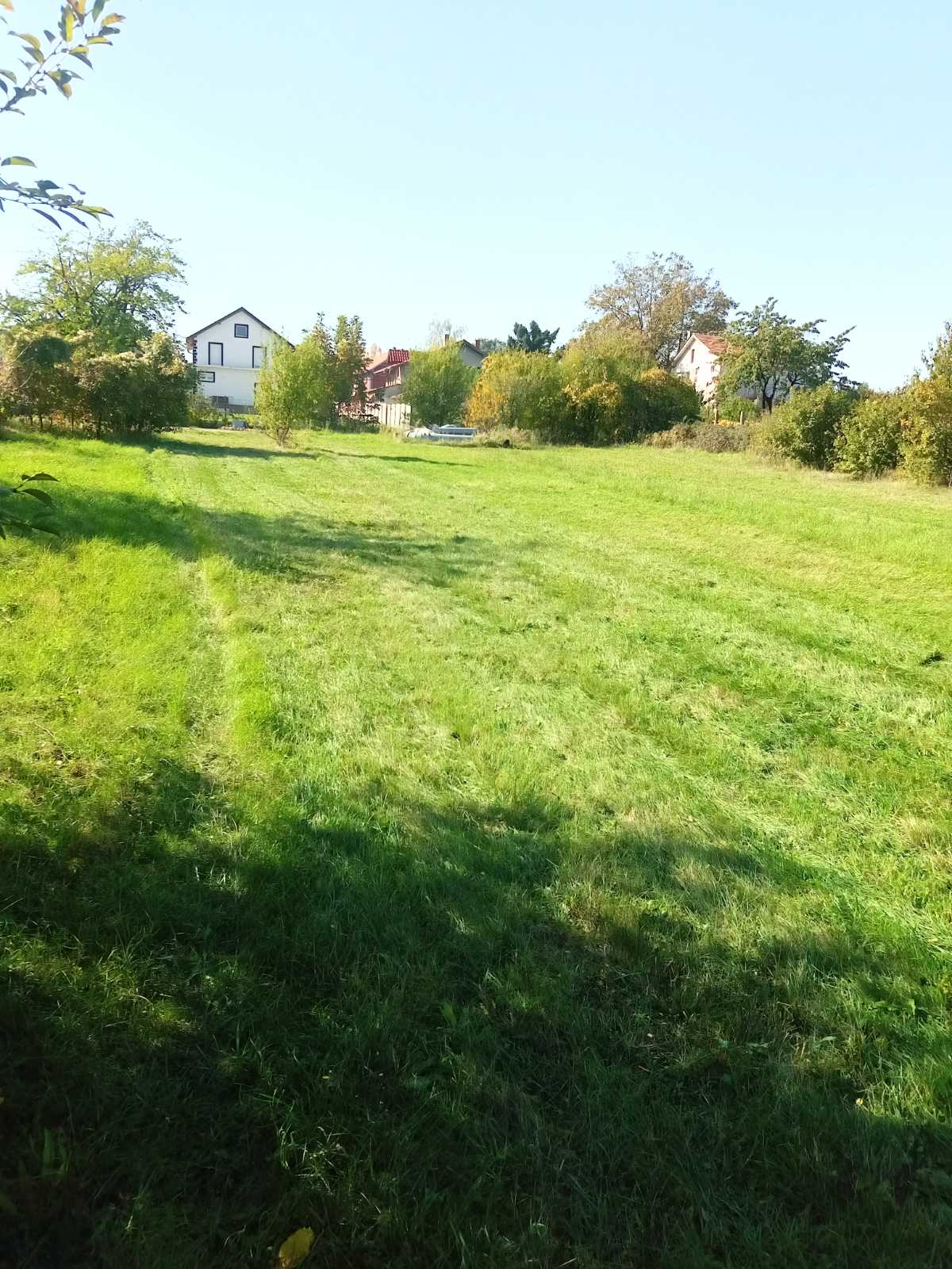 Izdavanje Hala – Smederevo, Kolarski put