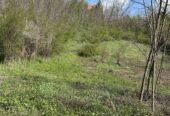 Vrcin plac na prodaju