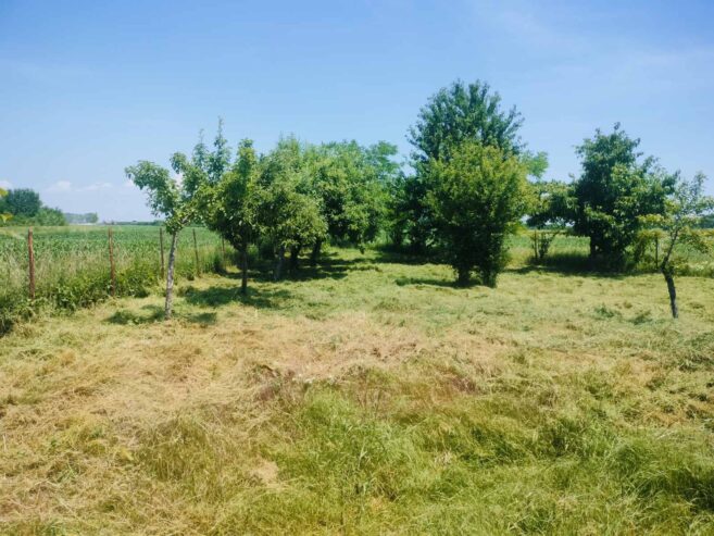 Na prodaju kuća sa voćnjakom, Lipske livade 27, Smederevo