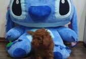 Toy/mini crvene pudle