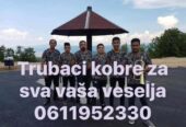 Trubaci smederevo 0611952330