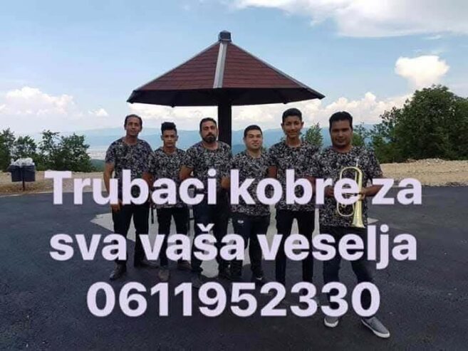 Trubaci smederevo 0611952330