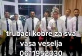 Trubaci smederevo 0611952330