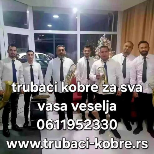 Trubaci smederevo 0611952330