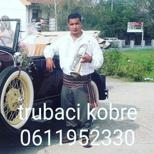 Trubaci smederevo 0611952330