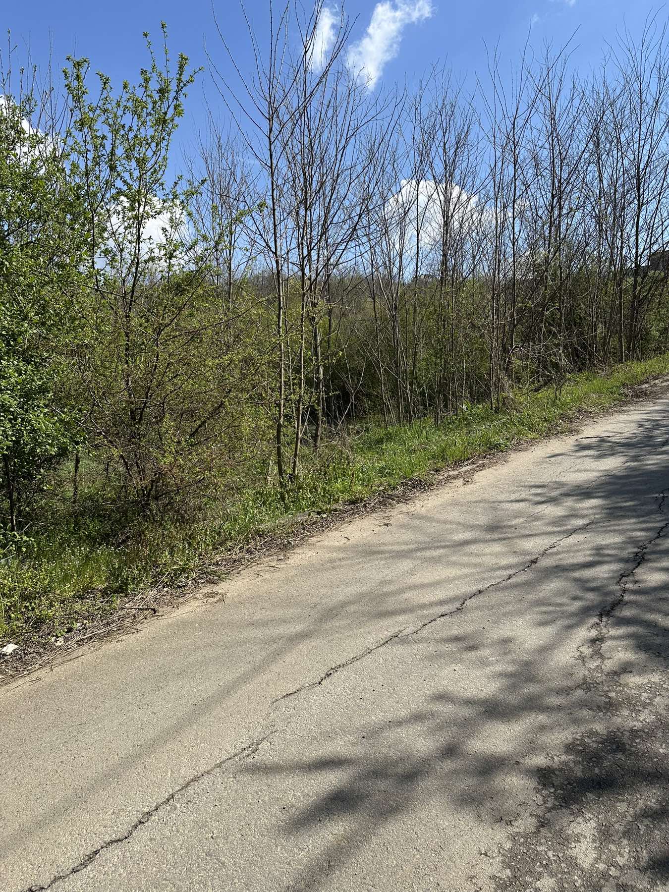 Vrcin 28 ari plac na prodaju