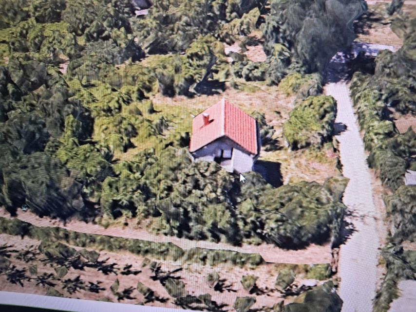 Prodaja kuce i placa