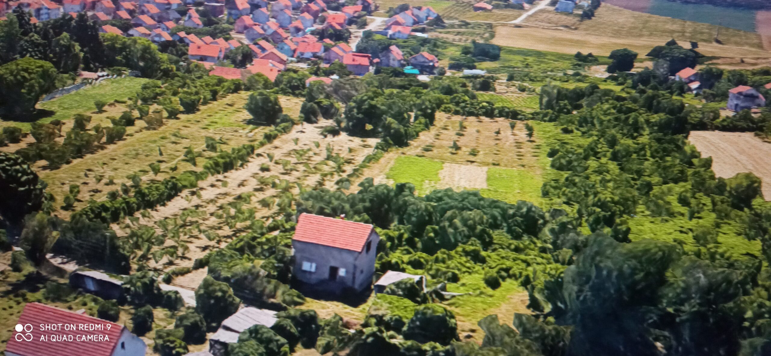 Prodaja kuce i placa
