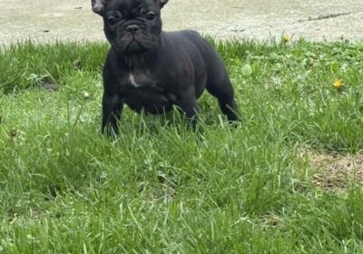 viber_slika_2025-11-13_23-15-45-824