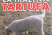 Psi za trazenje tartufa -Tartufari