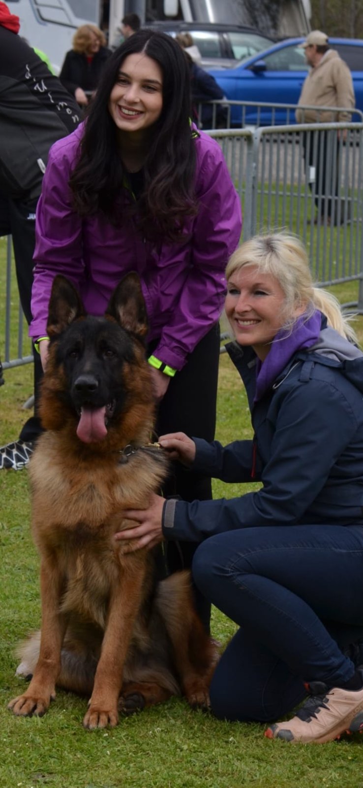 Nemački Ovčari ženska štenad