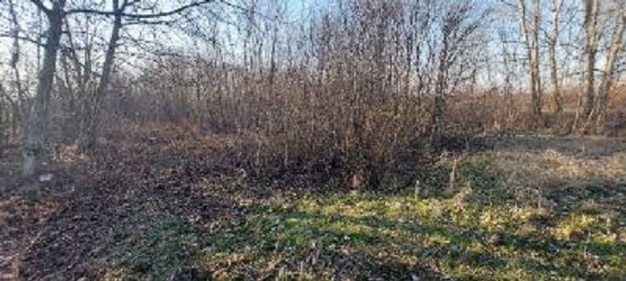 Prodajem plac u Lipama kod Smedereva