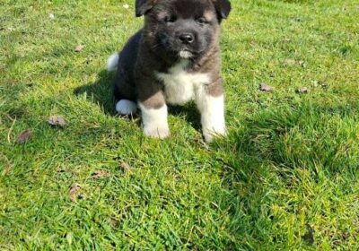 7e76d9ba-a1b7-4d85-88bd-85fbf4f404ad