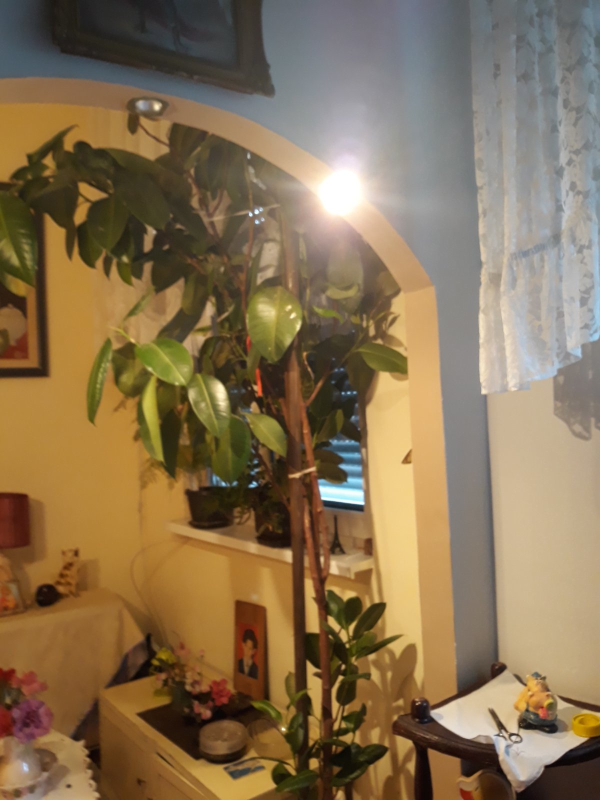 Prodajem stan u centru Smedereva