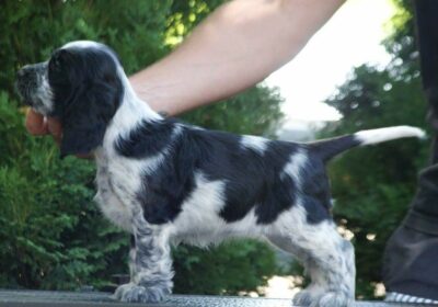 aviber_image_2026-03-04_07-29-00-943