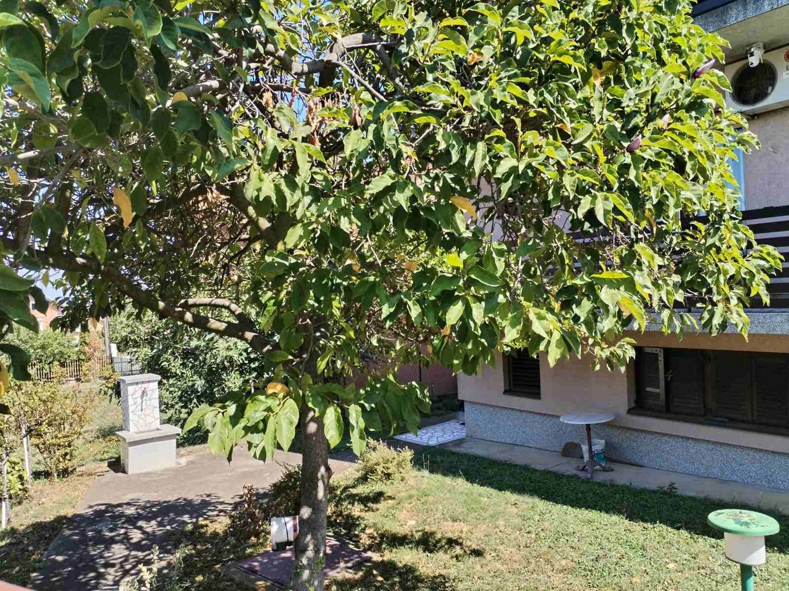 Kuća u Velikoj Plani