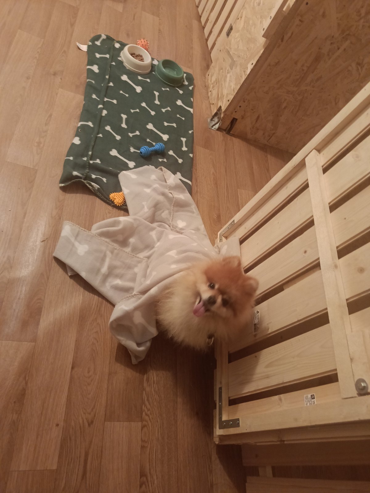 Pansion za pse “Fito”