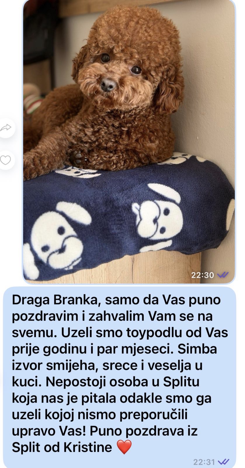 Toy Pudle na prodaju