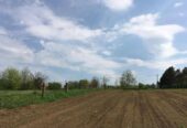 Gradjevinsko zemljiste Krnjevo-Velika Plana