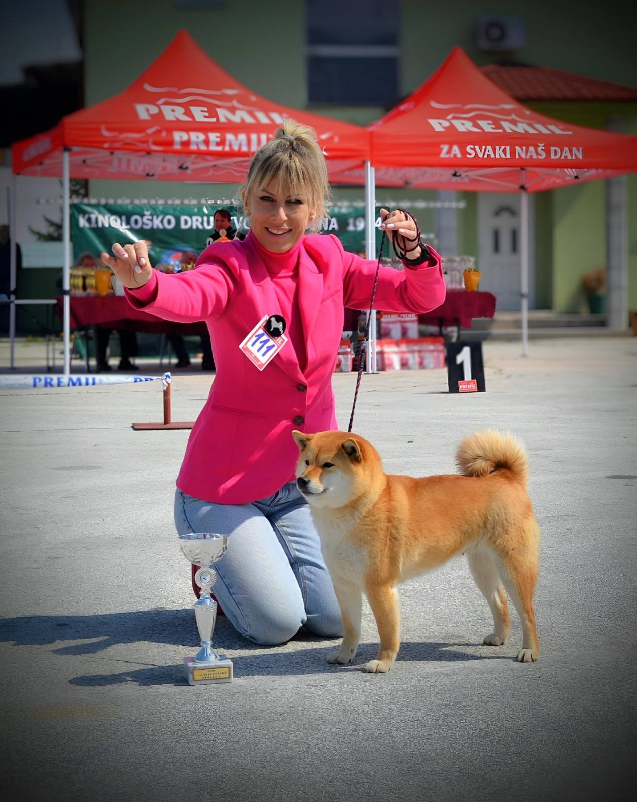 Shiba Inu prelepi štenci