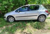 Peugeot 307 2004 godiste