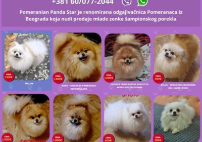viber_image_2026-06-07_16-00-33-931